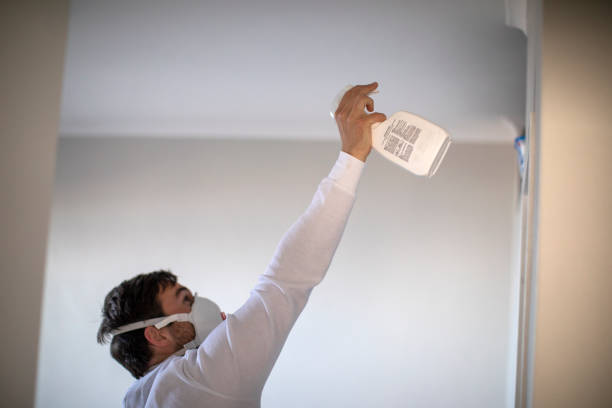 Best Mold Remediation for Schools in University City, MO