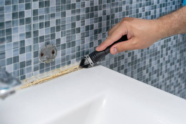 Best Commercial Mold Remediation in University City, MO