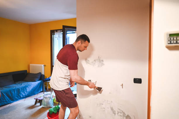 Best Post-Flood Mold Remediation in University City, MO